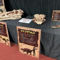 体験型リアル恐竜ショー「恐竜パーク」開催へ　巨恐竜ロボットやAR、化石展など　夏休み期間中に北海道から九州まで28か所で