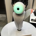 robopin