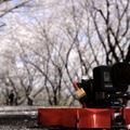 5年目の「桜ドローンプロジェクト」テーマは日本の文化の象徴「富士山」4Kオリジナル開発のFPVドローンで捉える