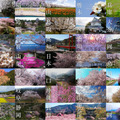5年目の「桜ドローンプロジェクト」テーマは日本の文化の象徴「富士山」4Kオリジナル開発のFPVドローンで捉える