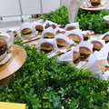 お台場に持続可能な未来を作る技術が集合「SusHi Tech Tokyo 2024」　「アーカックス」や「ファイバリオン」、各種モビリティなどロボットも登場