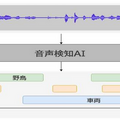 NTT東日本 タイワンリスの被害拡大を防ぐため「鳴き声AI解析」で生息状況調査を実施　識別結果や誤検知の理由も公表