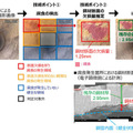 NTTがデジカメの画像で自動的に鋼材の腐食を検出・深さを推定する画像認識技術を確立　維持管理コストの縮減に