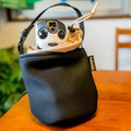 robohon_27256786195_o