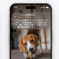 家庭用ネットワークカメラに生成AIを搭載　映像内容から日本語の説明文を自動生成して画面表示