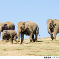 2024年春 訪日外国人旅行者の訪問と滞在が増加した地域をナビタイムが発表　人気急上昇エリアとその要因を分析