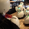 分身ロボットでカフェの来店客をおもてなし オリィ研究所ら特別支援学校生徒向けの遠隔就労体験プログラムを神戸と名古屋で実施