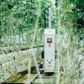 JA全農ぐんま　AIを活用したキュウリ収穫ロボットをAGRISTからレンタル導入　スマート農業の先駆け的な取り組み
