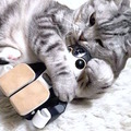 cat with robohon03