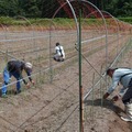 山形県最上町がアシストスーツを40台導入　ニラとアスパラガスの出荷量合計550トン超の名産地、担い手不足の解消へ　イノフィス
