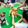 aibo「きなこ」の初お披露目に「動く25周年記念aibo」など見どころ満載!大盛況の「aiboファンミーティング18」写真レポート