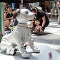 aibo「きなこ」の初お披露目に「動く25周年記念aibo」など見どころ満載!大盛況の「aiboファンミーティング18」写真レポート