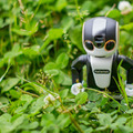robohon02