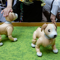 aibo「きなこ」の初お披露目に「動く25周年記念aibo」など見どころ満載!大盛況の「aiboファンミーティング18」写真レポート