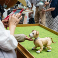 aibo「きなこ」の初お披露目に「動く25周年記念aibo」など見どころ満載!大盛況の「aiboファンミーティング18」写真レポート
