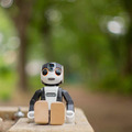 robohon03