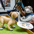 aibo「きなこ」の初お披露目に「動く25周年記念aibo」など見どころ満載!大盛況の「aiboファンミーティング18」写真レポート