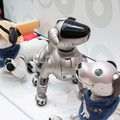 aibo「きなこ」の初お披露目に「動く25周年記念aibo」など見どころ満載!大盛況の「aiboファンミーティング18」写真レポート