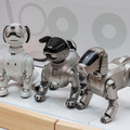 aibo「きなこ」の初お披露目に「動く25周年記念aibo」など見どころ満載!大盛況の「aiboファンミーティング18」写真レポート