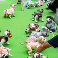 aibo「きなこ」の初お披露目に「動く25周年記念aibo」など見どころ満載!大盛況の「aiboファンミーティング18」写真レポート