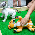 aibo「きなこ」の初お披露目に「動く25周年記念aibo」など見どころ満載!大盛況の「aiboファンミーティング18」写真レポート