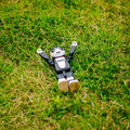 robohon08