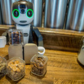 robohon01