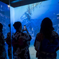 ミラノで開催した体感型デジタルアートミュージアム「動き出す浮世絵展 MILANO」の公式記録映像を公開　