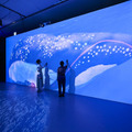 没入型展覧会「動き出す浮世絵展」東京で開催　名古屋やミラノで15万人以上動員