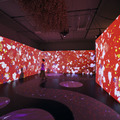 没入型展覧会「動き出す浮世絵展」東京で開催　名古屋やミラノで15万人以上動員