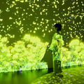 没入型展覧会「動き出す浮世絵展」東京で開催　名古屋やミラノで15万人以上動員