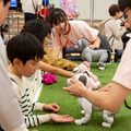 家族連れでちょっと先の面白い未来を体験「ちょもろー2024」レポート(1) ロボットや最新技術との触れあい編