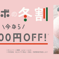 パナソニックの弱いロボット「ニコボ」が11,000円オフの冬割キャンペーンを実施