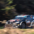 WRCラリージャパン 一般車両が競技コースに進入し、SS12はキャンセルに　3日目を終えての総合順位は・・