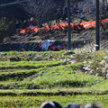 WRCラリージャパン 一般車両が競技コースに進入し、SS12はキャンセルに　3日目を終えての総合順位は・・