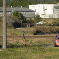 WRCラリージャパン 一般車両が競技コースに進入し、SS12はキャンセルに　3日目を終えての総合順位は・・