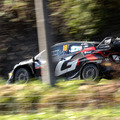 WRCラリージャパン 一般車両が競技コースに進入し、SS12はキャンセルに　3日目を終えての総合順位は・・