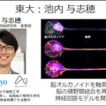 ソフトバンクと東京大、脳オルガノイドで「人工脳細胞のプロセッサ」を共同研究、世界初の成果を発表 「脳細胞が次世代コンピュータになる」