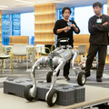 話題のヒューマノイドが歩き回る！犬型ロボや警備ロボ、搬送ロボなどが集結　GMO AIRが社内向けロボット体験会を開催