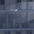 smartbird