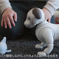 ソニー「aibo」がモノをくわえて遊んだり、ユーザーについて歩けるようになったよ！