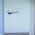 BionicOpter