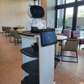 会話AIロボットを搭載した自動搬送ロボット「Collibot」発売開始　オススメ商品の説明やガイド、人と会話できる複合型搬送ロボット