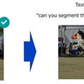 パナソニック、学習してない物体をテキストと画像で指示できる対話型セグメンテーションAI技術「SegLLM」を開発