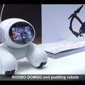 domgy-08