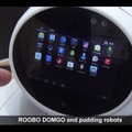 domgy-16