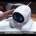 domgy-11