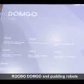 domgy-02