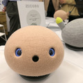 ロボットの未来を語ろう、「コミュニケーションロボット博」開催　各メーカーとオーナーたちが集う