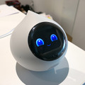 ロボットの未来を語ろう、「コミュニケーションロボット博」開催　各メーカーとオーナーたちが集う